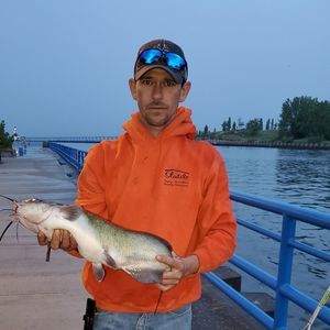 Meet your Posher, Jack